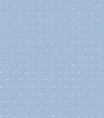 Load image into Gallery viewer, Baby Blue Swiss Self Dotted Cotton Deluxe Fabric
