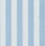 Load image into Gallery viewer, Powder Blue Candy Stripe Cotton Deluxe Fabric