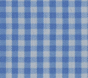 Powder Blue Checkered Nylon Free Moving Fabric