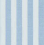 Load image into Gallery viewer, Powder Blue Candy Stripe Cotton Deluxe Fabric
