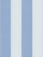 Load image into Gallery viewer, Powder Blue Regency Stripe Cotton Deluxe Fabric
