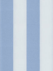 Powder Blue Regency Stripe Cotton Deluxe Fabric