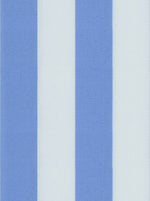 Load image into Gallery viewer, Blue Regency Stripe Cotton Deluxe Fabric
