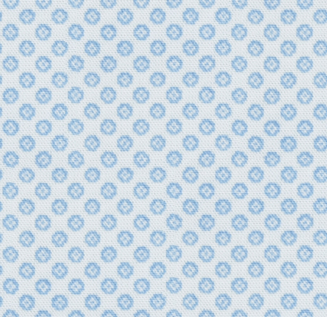 Powder Blue Printed Cotton Seasonal Leisure Fabric